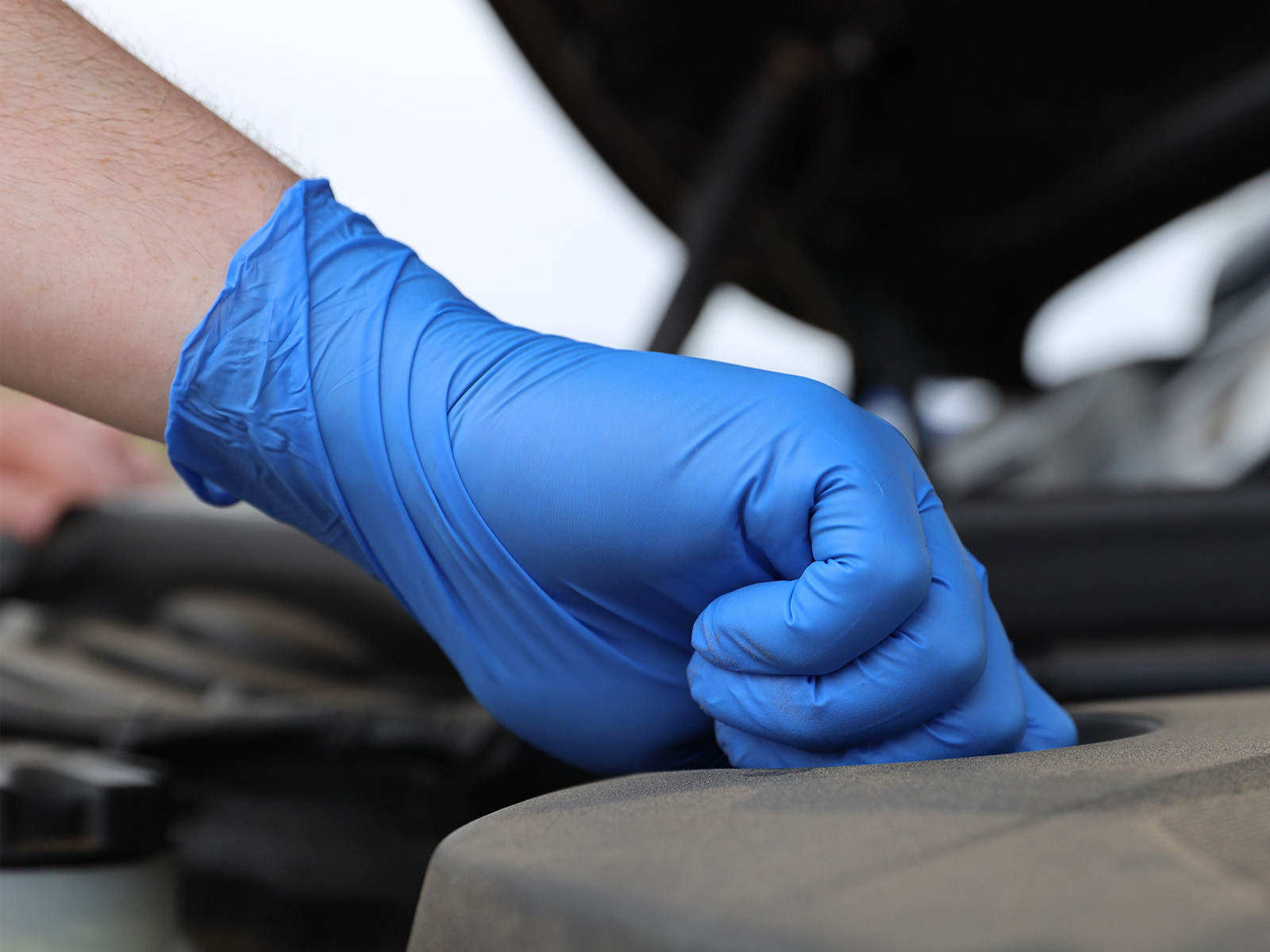 Aurelia Robust InUse