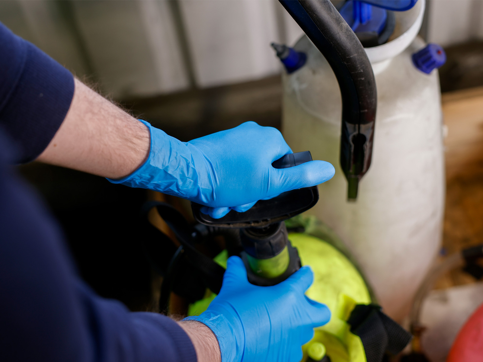 Aurelia Robust Plus Web V1